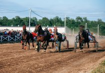 В этом году это будет уже второй старт этих зрелищных соревнований любителей лошадей и конного спорта