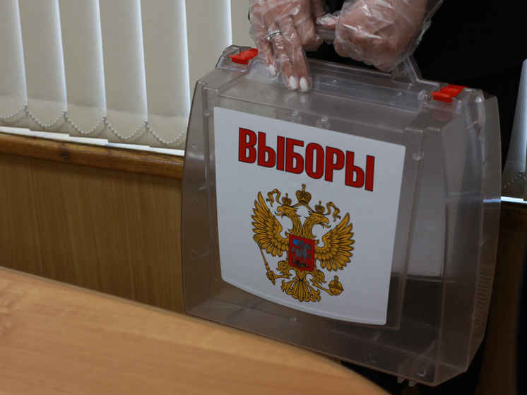 Депутат Тулоблдумы Гребенщиков проголосовал на выборах президента РФ