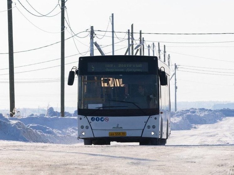 В городах Югры на время выборов запустили бесплатные автобусы