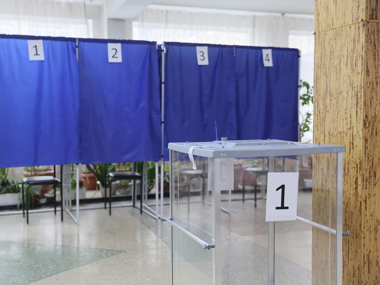 Семь стран будут наблюдать за ходом голосования на избирательных участках ДНР