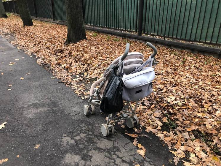 Петербургским родителям рассказали, как прописать ребенка по месту жительства