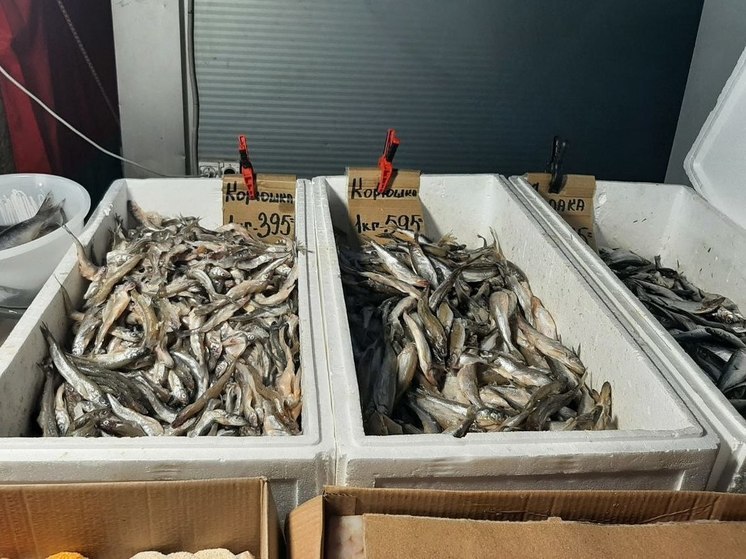 Калининградским рыбакам разрешили замахнуться на вылов 300 тонн корюшки