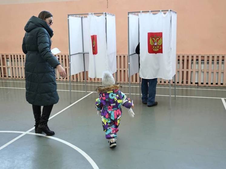 В Челябинской области на выборах проголосовало 18,39 % избирателей