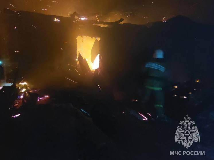 В Тверской области при пожаре пострадал человек