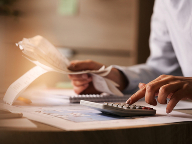 Налоговики в Карелии стали реже устраивать проверки