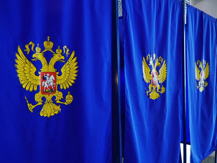 В Новосибирске задержали девушку, которая облила краской бюллетени на выборах