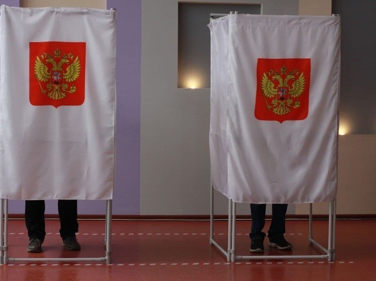 В Тульской области явка избирателей к 15 часам достигла показателей в 22,45%