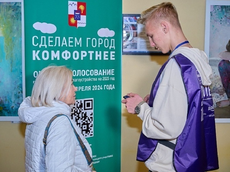 В Сочи 500 волонтеров помогают местным жителям проголосовать за объекты для благоустройства
