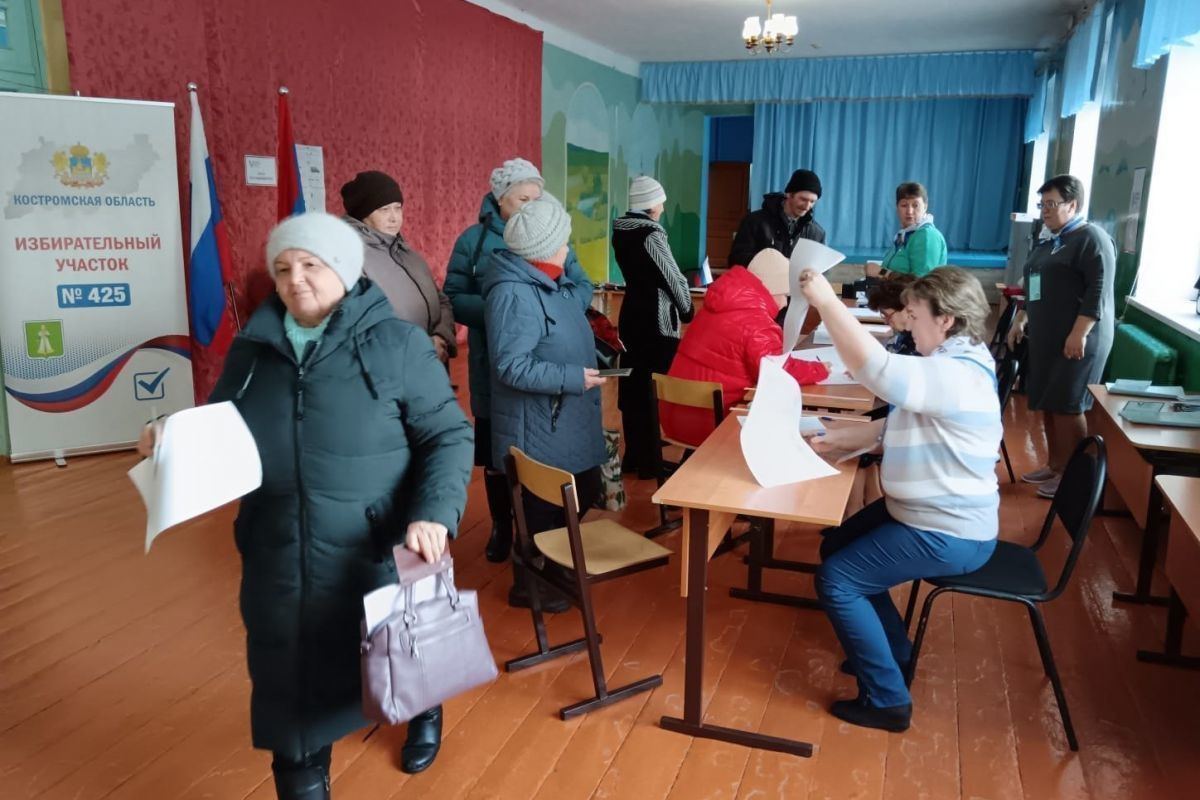 Жители Костромской области принимают участие в голосовании