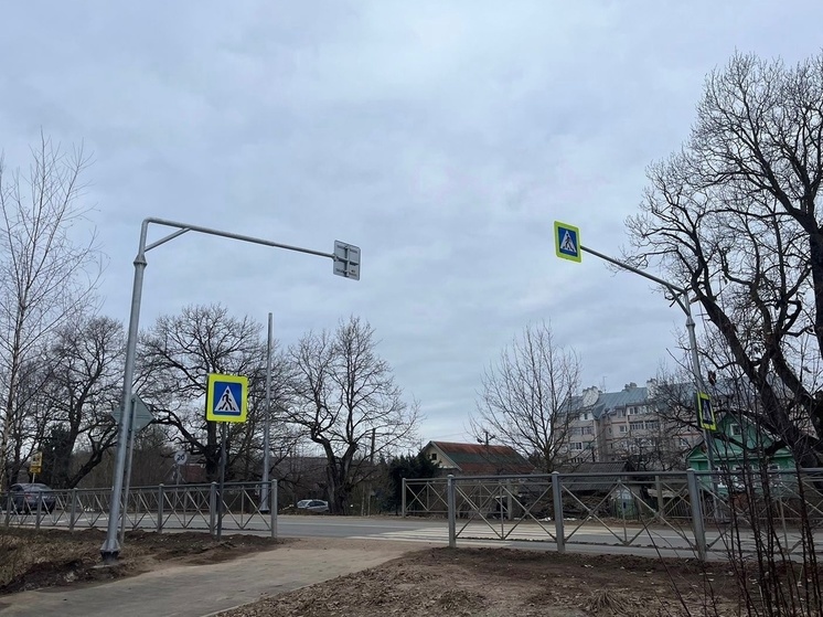 В Новгородском районе обустроят пешеходные переходы вблизи учебных заведений