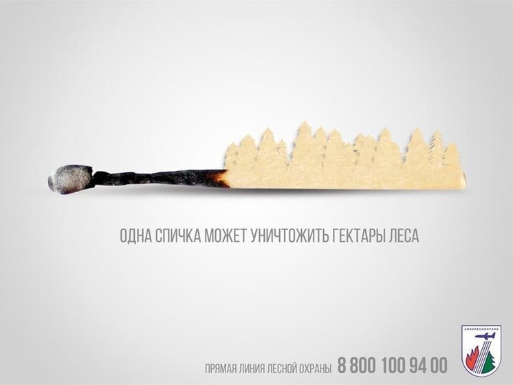 В Курской области 15 марта стартовала акция «Останови огонь!»
