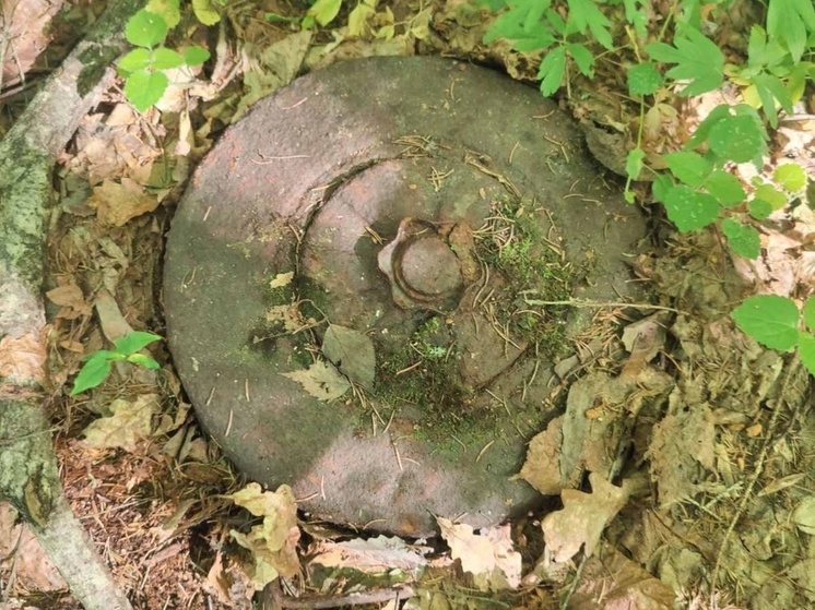 В Велиже обезвредили очередное «эхо войны»