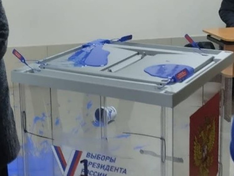 Наблюдатели не допустили порчу бюллетеней на избирательном участке в Великом Новгороде