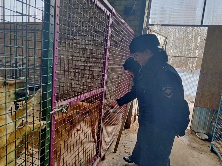Костромские правоохранители собрали подарки для приютских животных