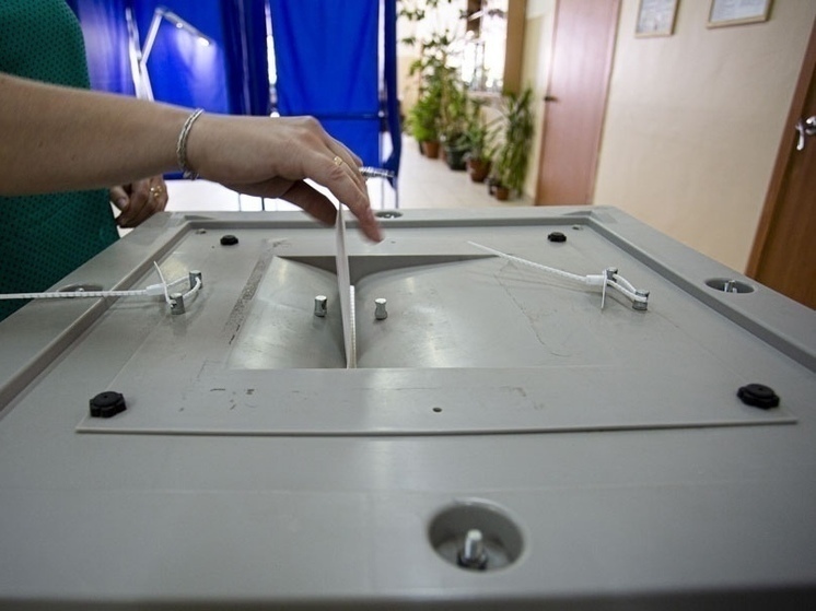 Явка на выборах президента РФ в Омской области в первый день составила почти 39%
