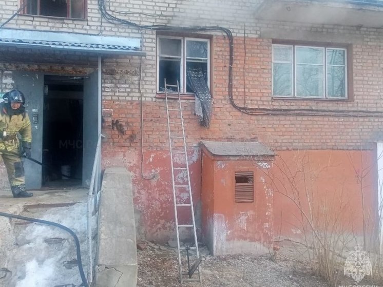 9 туляков эвакуировали из квартир из-за пожара на Косой Горе