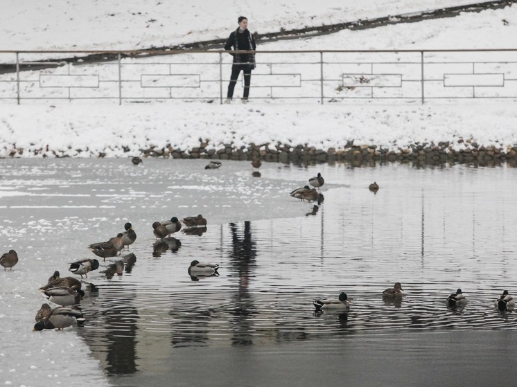 Синоптики пообещали комфортную погоду во второй половине марта