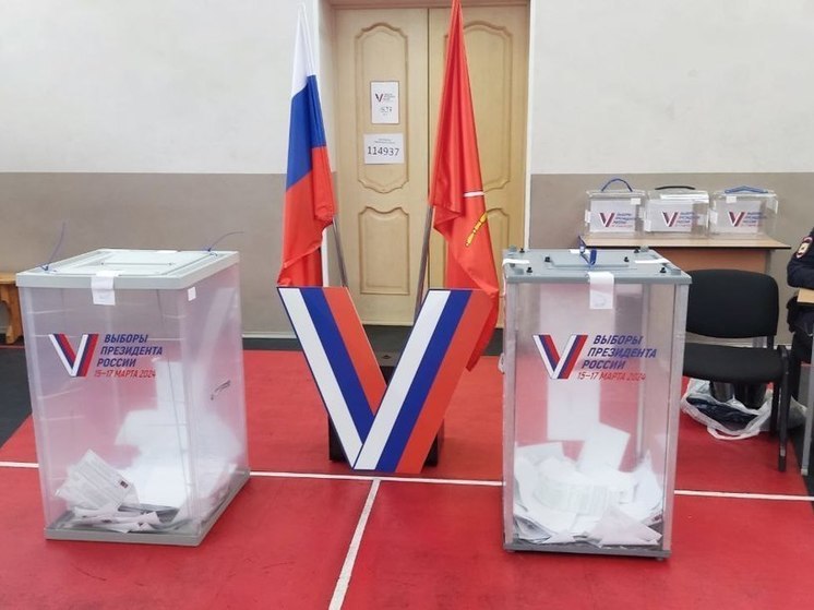 Международные наблюдатели посетили избирательные участки в Гатчинском и Ломоносовском районах