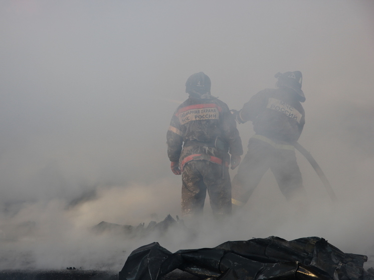 Ландшафтный пожар разгорелся около села Колочное в Читинском районе