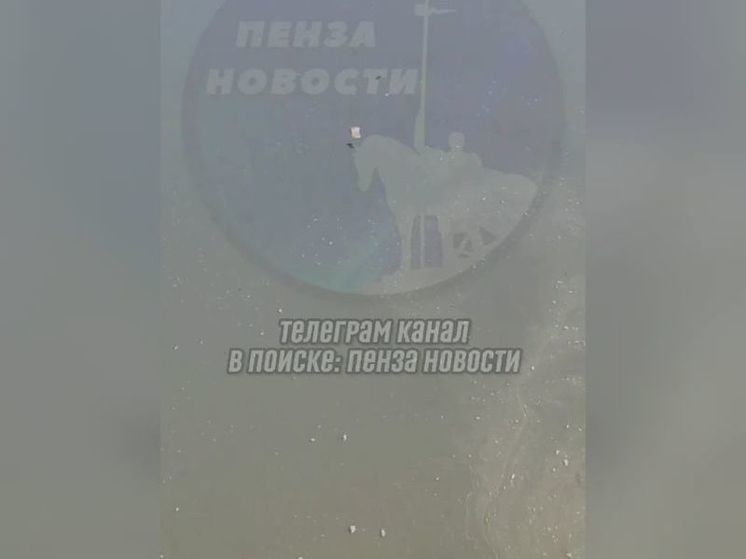 Пензенцы обнаружили загрязнение реки Суры в самом центре города