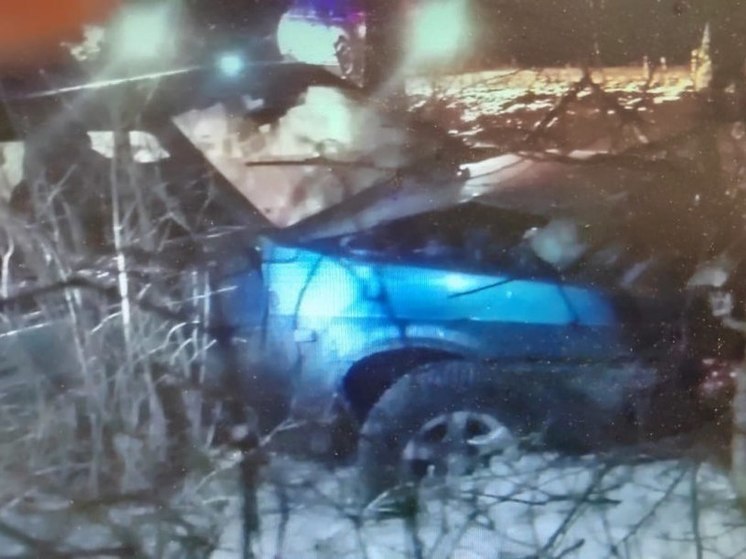 В Воронежской области разбился 43-летний автомобилист на ВАЗе