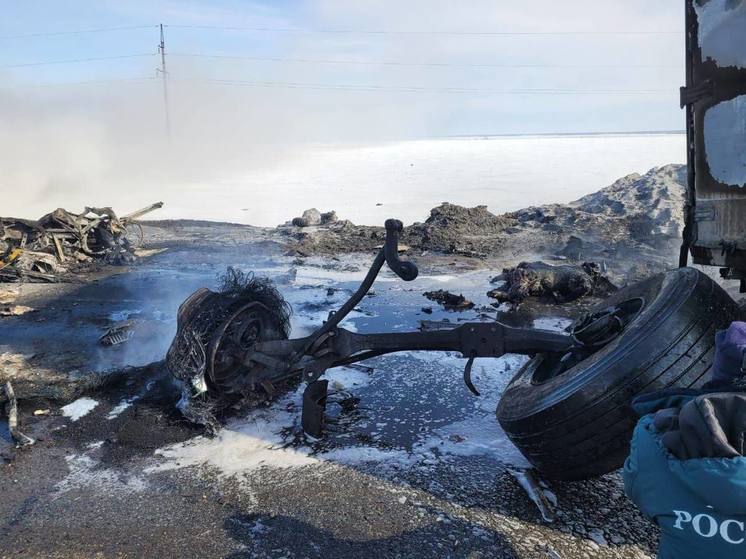Пять человек погибли в жутком ДТП с возгоранием на трассе в Омской области