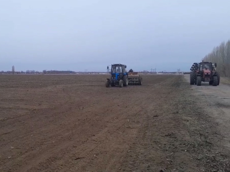 В Каховском муниципальном округе продолжается посев яровых культур