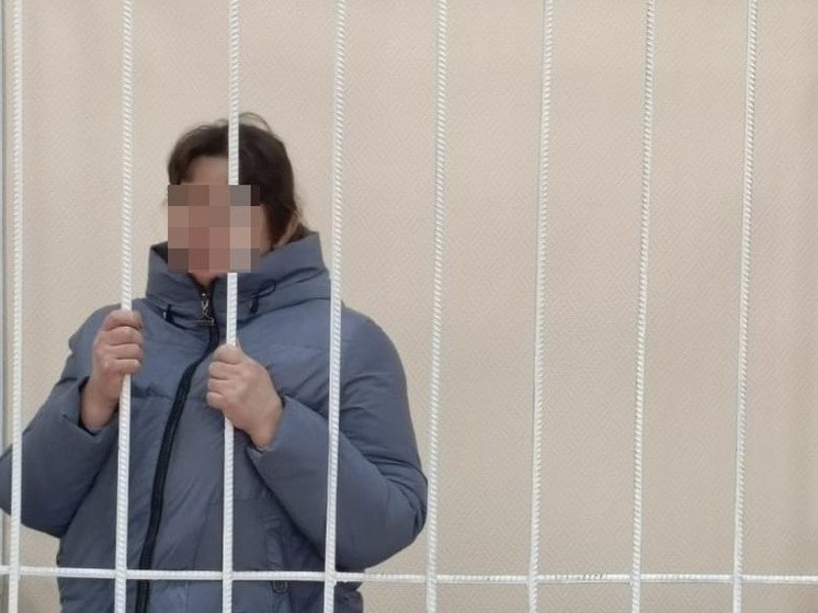 В Новосибирске отправили в СИЗО мать, обвиняемую в убийстве новорожденного