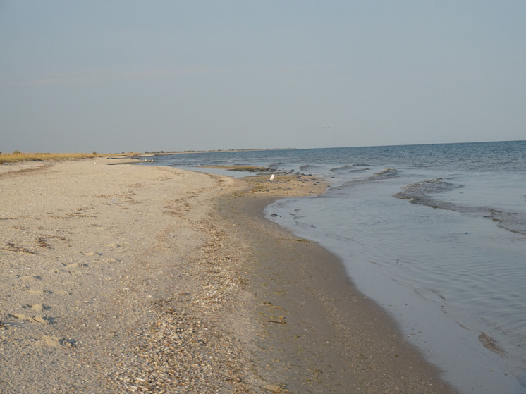 Глава Скадовского округа рассказал Александру Малькевичу о скадовских пляжах