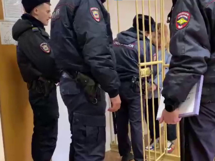 Девушку, бросившую коктейль Молотова в стену избирательного участка в Петербурге, отправили в СИЗО