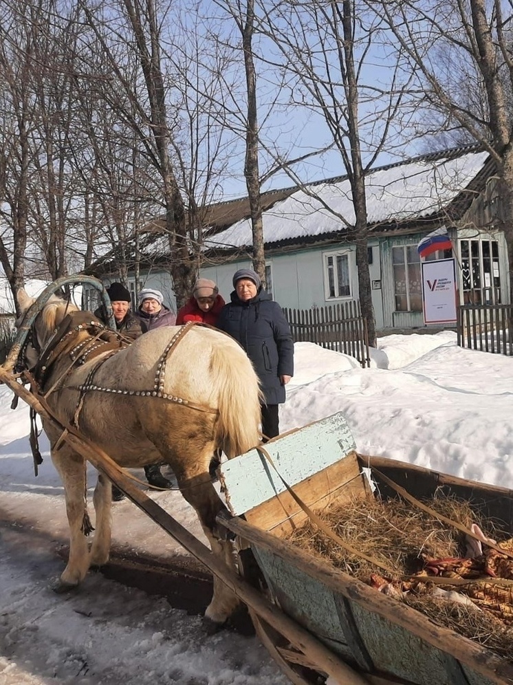В Тверской области избиратели приехали на выборы президента РФ на запряженных лошадью санях