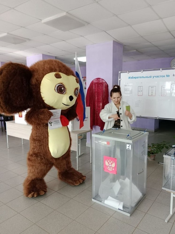 Чебурашка пришел на избирательный участок в Куньинском районе