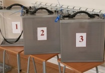 В вечеру 16 марта (второй день выборов президента) с помощью дистанционного электронного голосования (ДЭГ) проголосовали более 86 процентов зарегистрированных избирателей. Это около 240 тысяч человек.