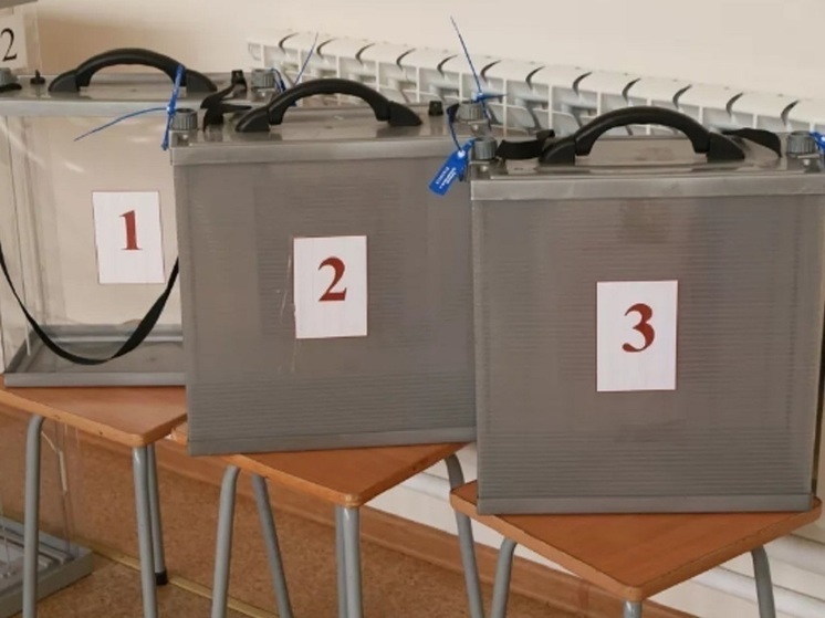 В ДЭГ проголосовали 86% зарегистрированных избирателей Алтайского края