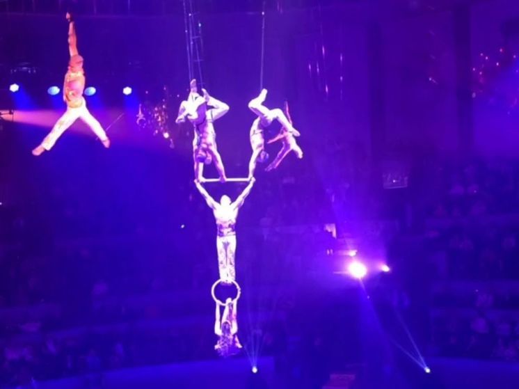 В Новосибирске гимнастка сорвалась с высоты во время циркового выступления