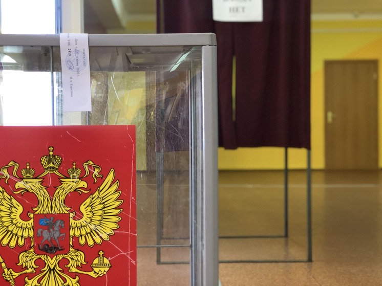 В Тульской области в выборах президента участвуют жители Донбасса