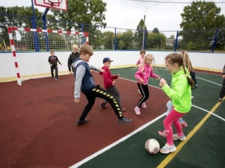 Еще три школьных спортивных объекта в костромских селах будут отремонтированы в этом году