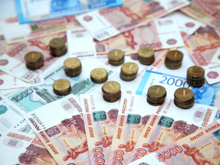 Более 250 юрлиц Запорожской области подтвердили основной вид деятельности