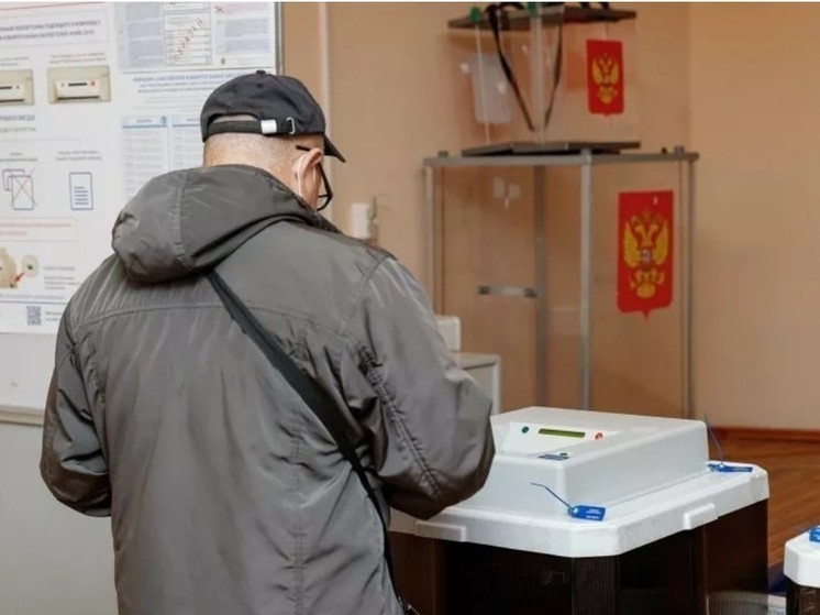Почти 5000 избирателей в Псковской проголосовали на ДЭГ в ночь с 15 на 16 марта