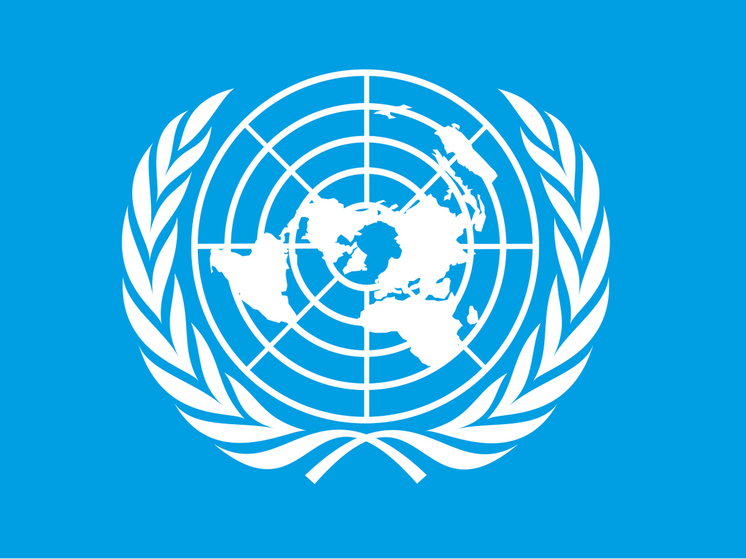 Чуть более 50 членов ООН осудили выборы в Херсонской области