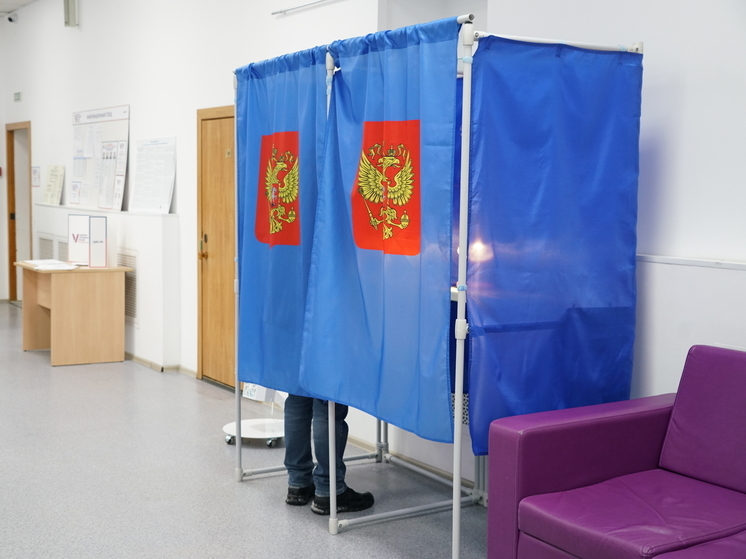 1,07 миллиона человек проголосовали на выборах Президента в Новосибирской области