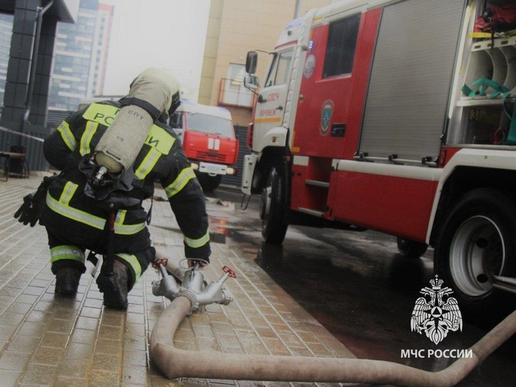 При пожаре на улице Иркутской в Воронеже спасли троих детей