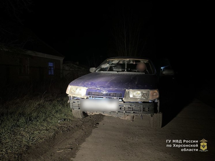 Полиция остановила пьяного водителя в Скадовском округе