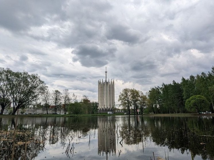 В парке Сосновка школьники нашли труп именинника