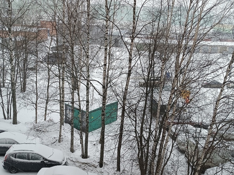 Зима вернулась в Петрозаводск