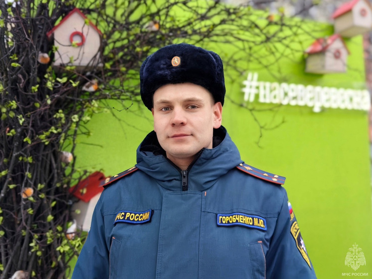 Заполярные спасатели рассказали, как правильно сжигать чучело на Масленицу