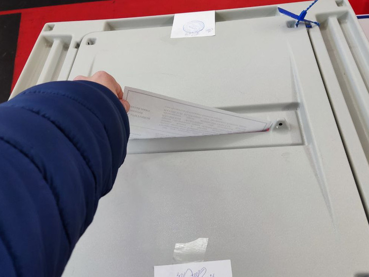 Приехавшие в Мурманск иностранцы познакомились с ходом выборов