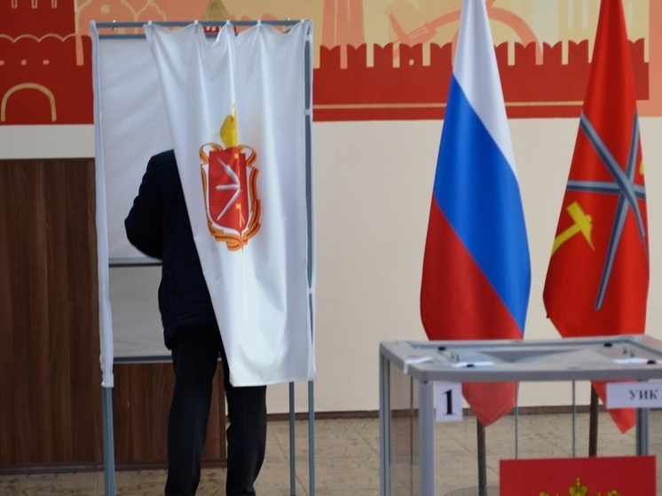 Жители Тульской области почти на максимум оценили организацию выборов
