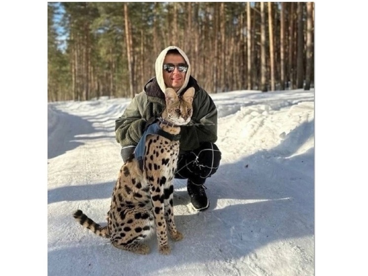 В Ярославле после побега вернули домой редкой породы кота