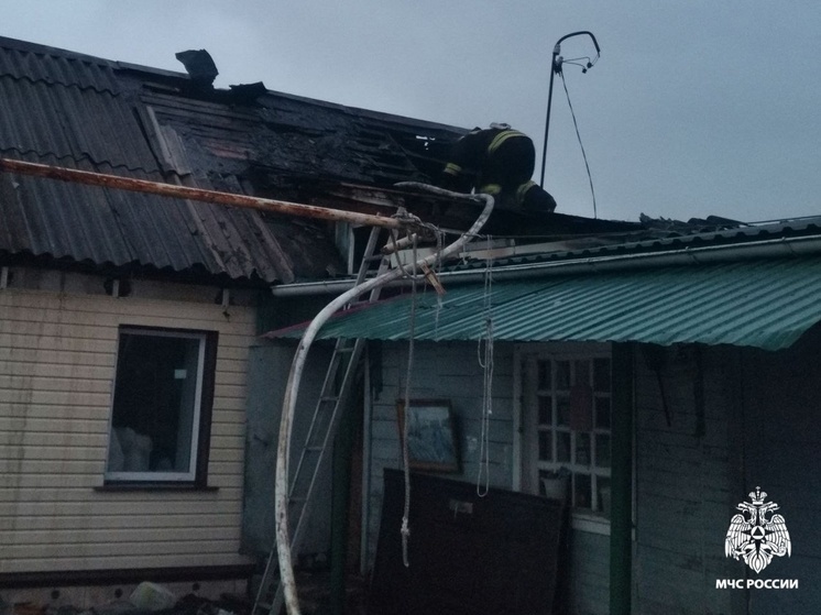 В Курске пожарные потушили огонь в хозяйственной постройке